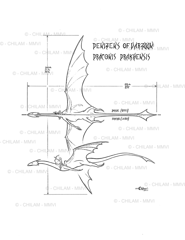 Draconis Drakhensis