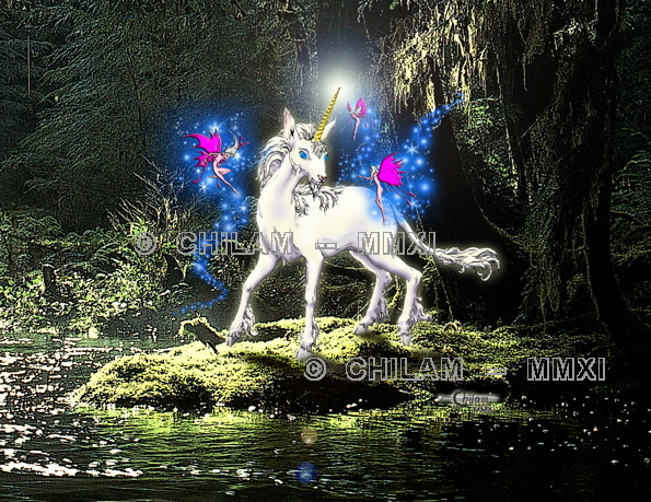 Unicorn Oracle in Color Color Unicorn Oracle