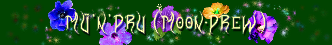 MoonDrew Banner